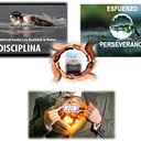Javier Piedra Pérez
