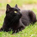 Margarita Esperanza Prudencio Argueta