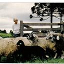 Luis Henrique Lemos Winkel