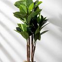 Maria de los Angeles Telleria