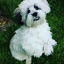 Caroline Mendoza Palma