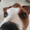 Denisse Nava Buendía