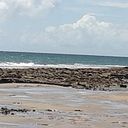 Edite Stentzler Fehlauer