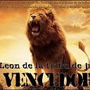 Cristofer Emmanuel Moreta Gonzalez