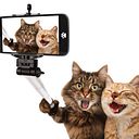 Nannally S Arenas Javier