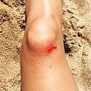 Rita Lopes da Graça