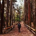 Coni Olivares Herrera