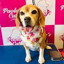 Marjorie Guzmán Montecinos