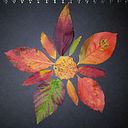 oa_na