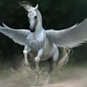 Enrique Esquivel Cardenas