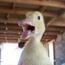 Kittymon Rachel Garavito