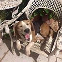 Andreas Giacoman Viera