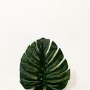 Zarith Syahira Zaharudin