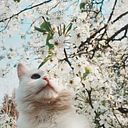 Irene del Pilar Hatay Jiménez