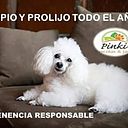 Silbana Garcia Sanini