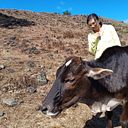 florence paz villena