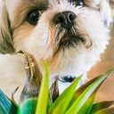 Bianca Larrazabal Greppo