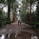 Alejandro Arteaga Nieto