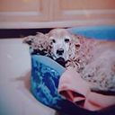 Angela Carhuapoma Talavera