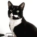 Patricia Martin Huertas