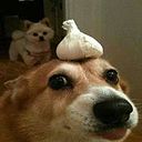 Ricardo Moran Cardenas