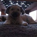 Fabio Martin Rivero Pavez