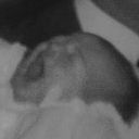 Jose Manuel Jimenez Torres