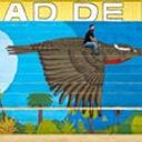 Seba Vicencio Inostroza