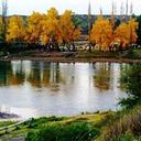 Graciela Beatriz Amado