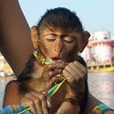 Estitxu Leizea Gomez