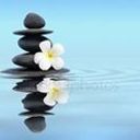 Miguel Angel Telles Torres