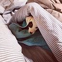 Casandra Ortega Parraguez