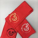 ANDRES SANZOL SALINAS