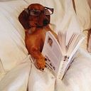 Berta Llucia Bertran