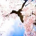 Carmen Rodriguez Casas