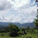 Paola Rodriguez Esquivel