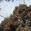 Esmeralda Palazuelos