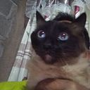 Miguel Ángel López Negrete