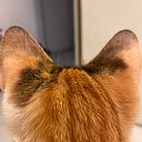 Raquel Alejandra Rodriguez Arana Rivera