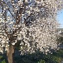 Rosa María Jiménez