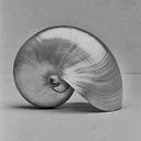 Davinia Fernández Jorge