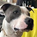 Cristian Benito Gonzalez