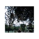 simonelly vergara canales