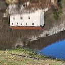 Salvatore Di Pasquale