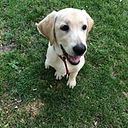 Pedro García Guzmán