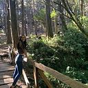 Sofía Rodríguez Hodgson