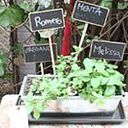 Melisa Gomez-Velazquez