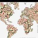 Maria Antonieta Cattaruzza