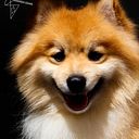 Gerardo Tovar Orozco