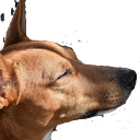 Evelin Moreno Murillo